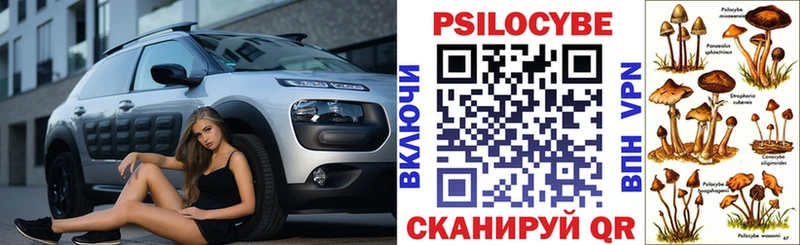 Галлюциногенные грибы мухоморы  продажа наркотиков  Троицк 